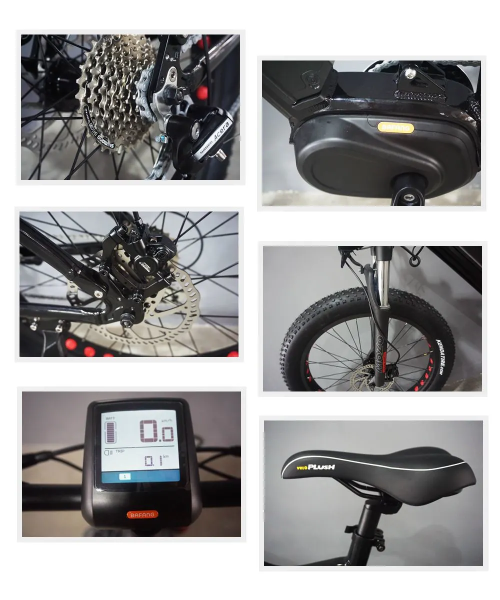 1000W Powerful Mountain Electric Bike with Full Suspension