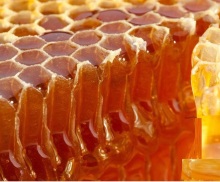 Raw amber Dateflower honey bulk sale