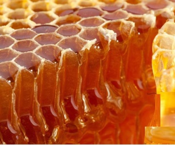 Raw amber Dateflower honey bulk sale