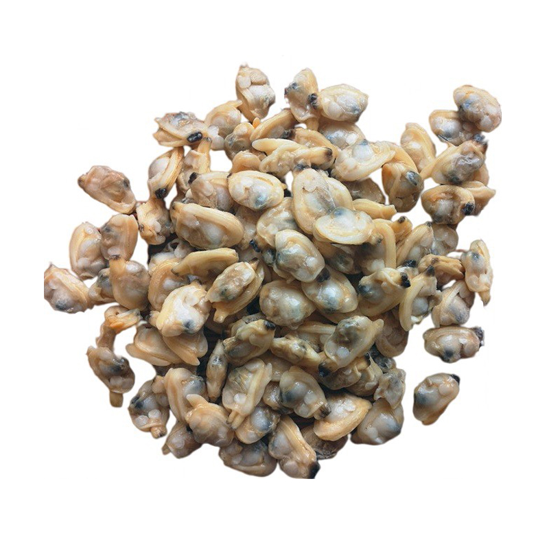 Mrożone gotowane mięso małże z krótkim szyją