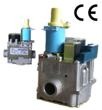 combination gas valve (EBR2008)