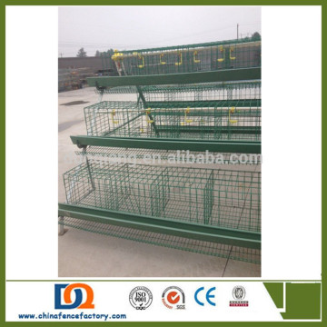 China ISO Factory Durable Welded Wire Mesh layers battery cages