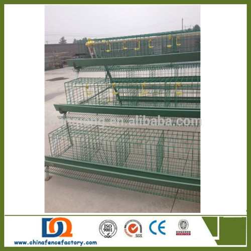 Best egg layers battery cages for sale