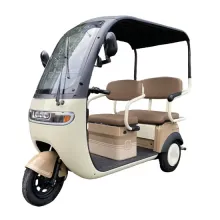 Electric Three Wheeler: E Tricycle and Bike for Passengers