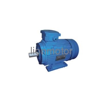 YCL Induction Motor
