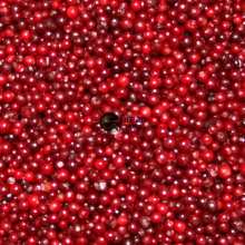 IQF Frozen Fruits of Lingonberry