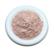 Shallot Powder Single Herb Food Ingredients