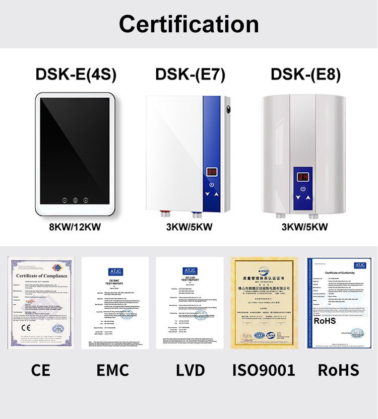 8KW-WH-DSK-E(4S)-10 portable tankless electric instant induction water heater immersion with Remote control thermostat