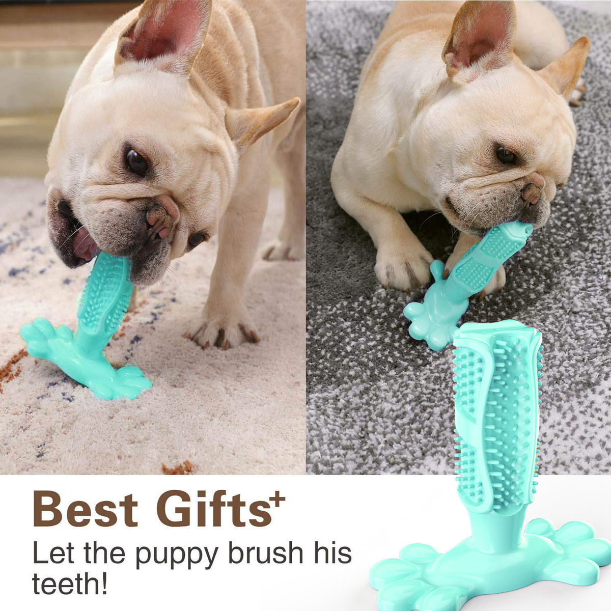 Finger Teeth Cleaning pet Brush Stick Cactus