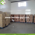 Factory Wholesale Super Food Nutrition Ningxia Wolfberry