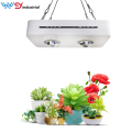 Factory direct 300W High Power LED Grow Lights