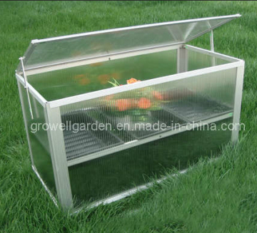 Cold Frame Greenhouse for Young Plants (C211)