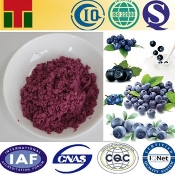 Organic Blueberry Powder Fruit Powder
