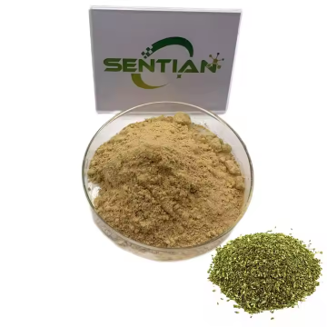 sophora flower bud extract sale