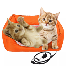 Warming Christmas Gifts for Your Cute Kitty and Puppy This Winter