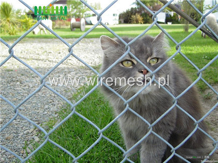 Temporary fence for rental house