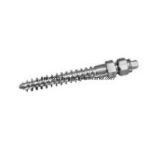 Orthopedic Implants: 5.5 Thoracic Vertebra Centrum Screws