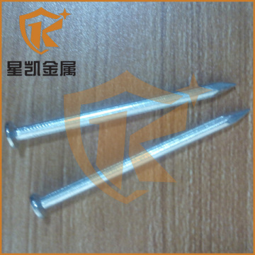 galvanized steel nails/ galvanized concrete nails