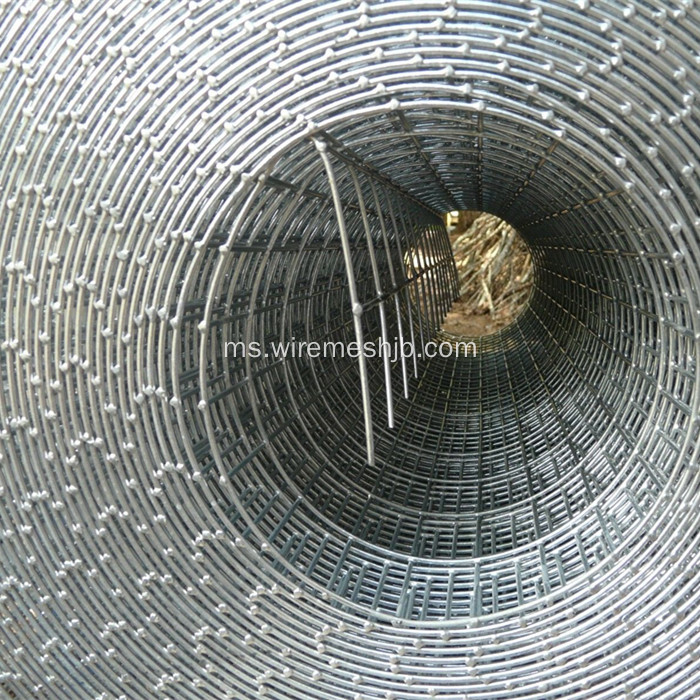 1&#39;&#39;X 1 &#39;&#39; Galvanized Welded Wire Mesh Rolls