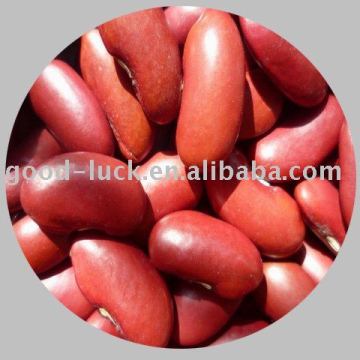 British dark red kidney beans