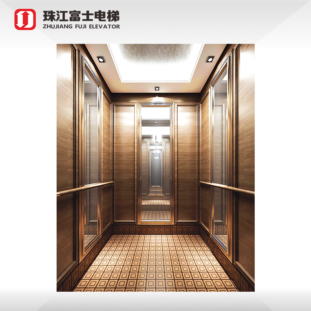 ZhuJiangFuJi Titanium Plating 8 passenger elevator price Passenger Elevator For Sale
