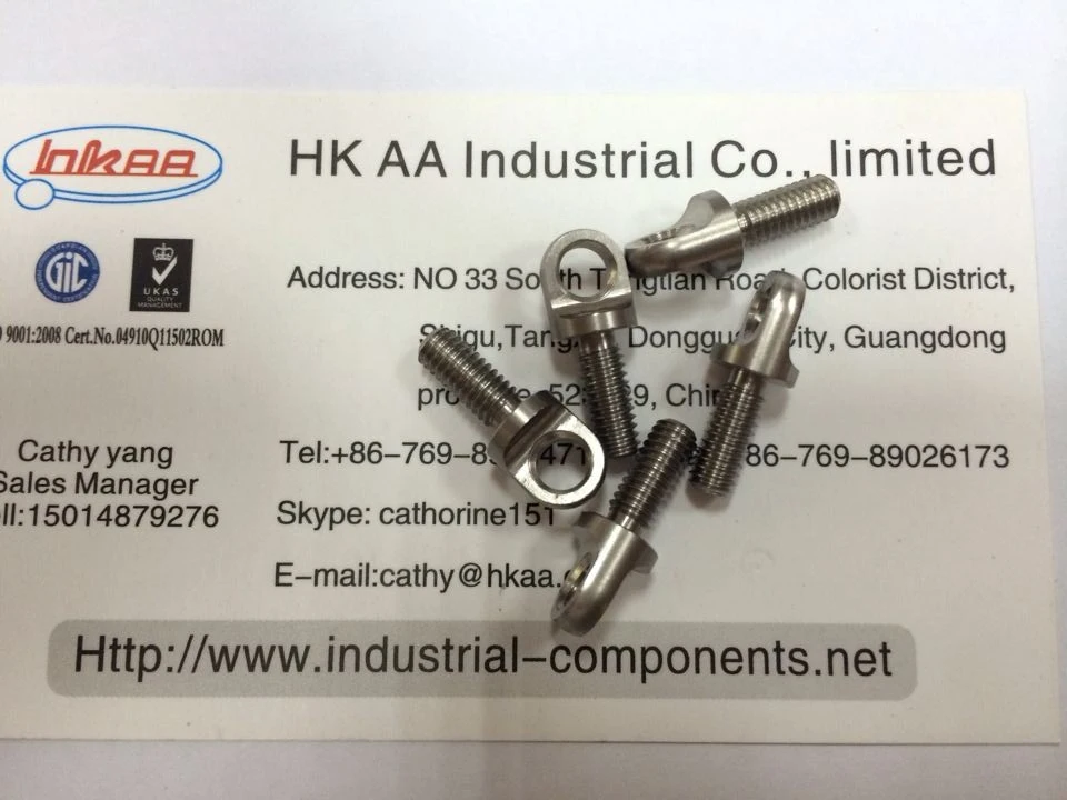 Nickel Alloy Inconel Kovar Monel Duplex Hastelloy Machining Screw for Oil and Gas