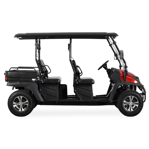 4 Sitz EFI 800CC UTV-Kohlefaser