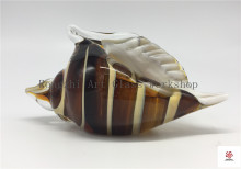 Nice Seashell Glass Sculpture