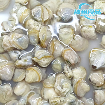 Carne tenera di vongole di fiume lavate e surgelate
