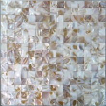 University image wall design mixed shell,sheel mosaic swimming pool tile