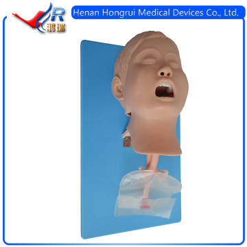 ISO Infant Trachea Intubation Training Model&Medical Training Infant Trachea Intubation Model