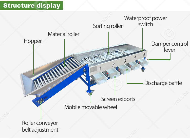 Mango Date Automatic Cherry Vegetable Fruit Olive Garlic Size Grading Sorting Machine for Fruit and Table