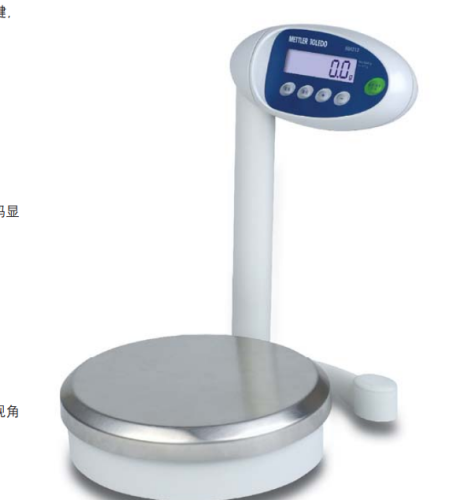 Auto Paint Electronic Weighing Scale for High Precise