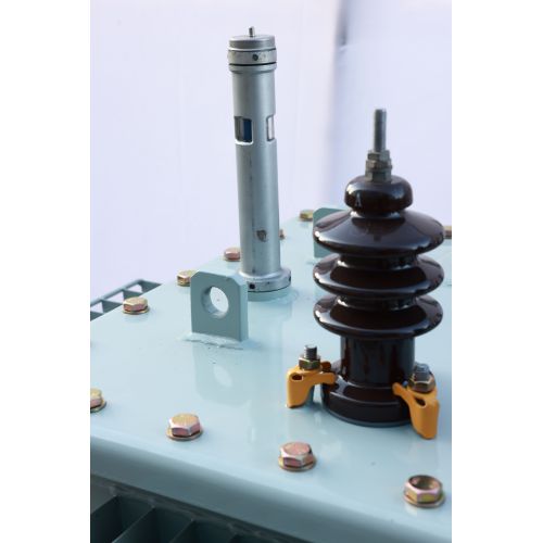 10KV S11/S13 oil Eco-friendly Transformer