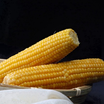 Carbs in Corn