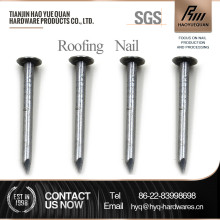 q195 roofing nails with roofing felt