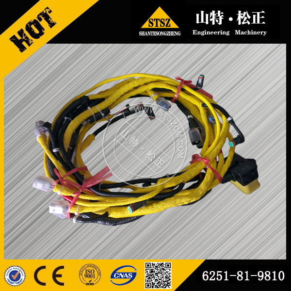 Wiring Harness 6251-81-9810 for KOMATSU WA480-6