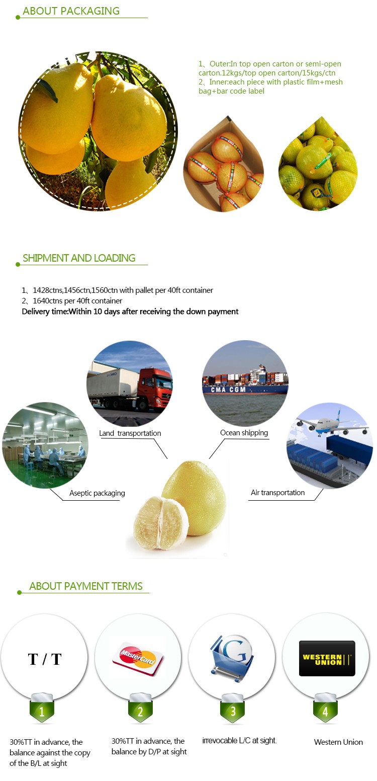 Wholesale High Quality Low Price Chinese Honey Fresh Pomelo