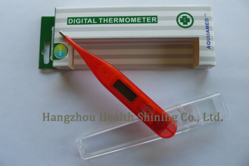 Transparent Thermometer