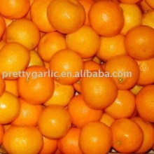 fresh mandarin orange