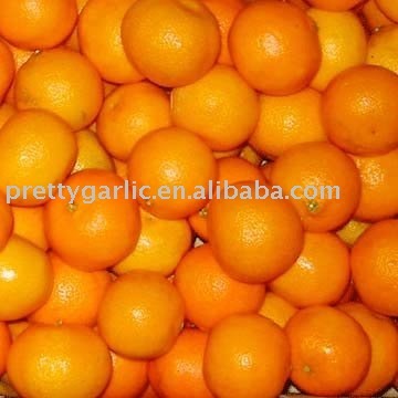 fresh mandarin orange