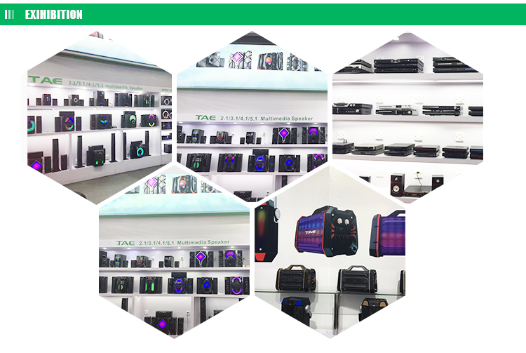 DVD-TKM307 USB SD DVD Full Metal Home DVD Player with Remote Control and LED Display