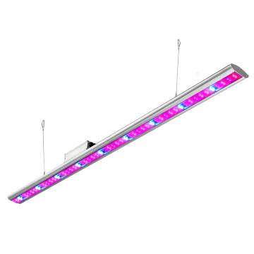 UV IR Bar ánh sáng ánh sáng đỏ mọc