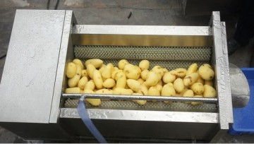 Roller Style Choosing/ Sorting Machinery for Fruit and Vegetable Ptr-Treating Equipment