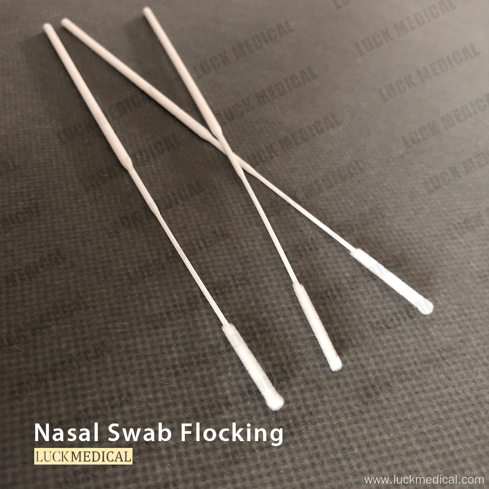 NP Flocked Swab Regular Flocked Swab