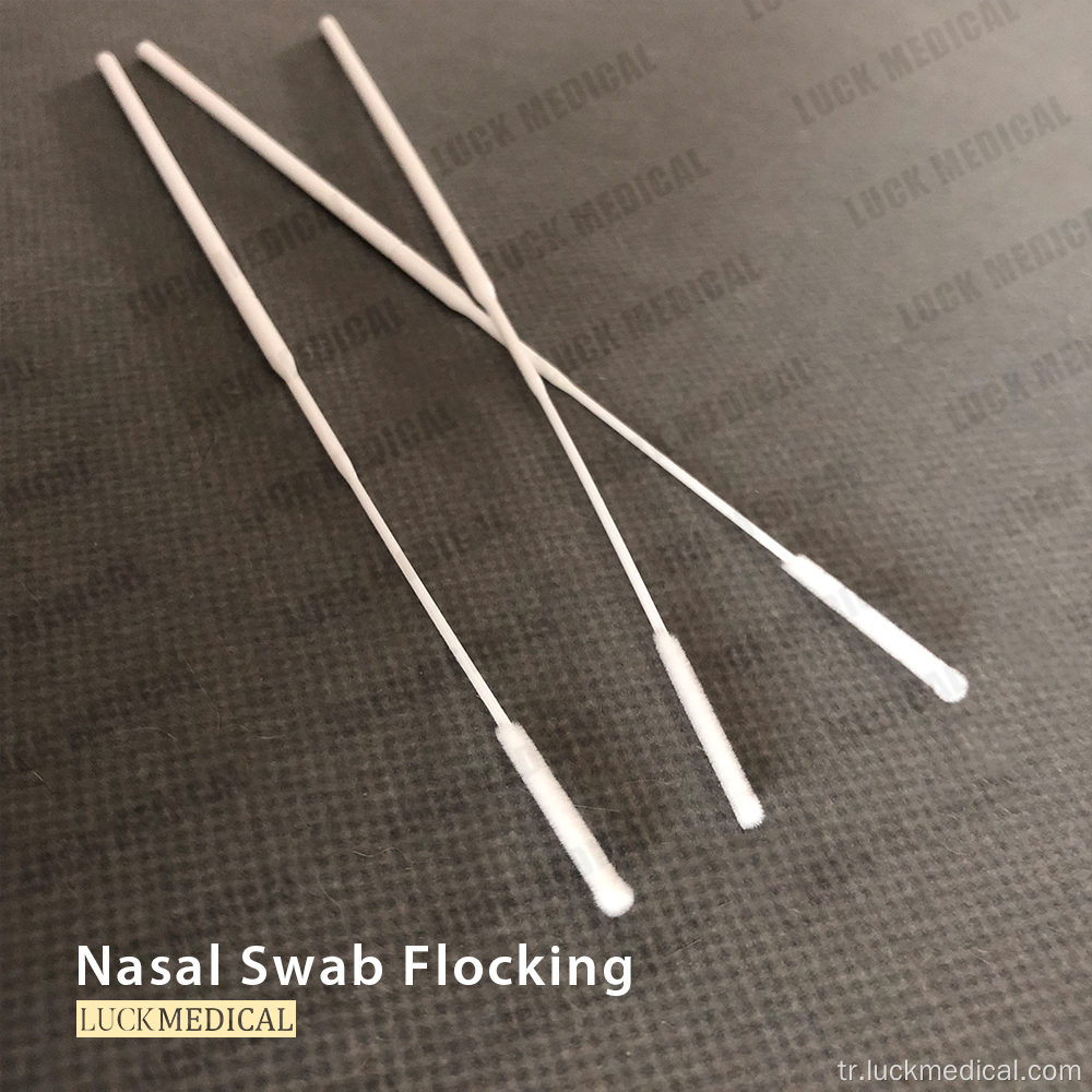 NP Flocked Swab Düzenli Floked Swab