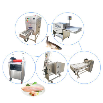 Wholesale Yellowtail and Whiting Fillets Processing Equipment in Factory Price