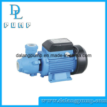 Qb Series Vortex Pump, Clean Water Pump, Surface Pump