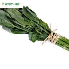 grape vine ties/pre-cut single paper ties/twist tie