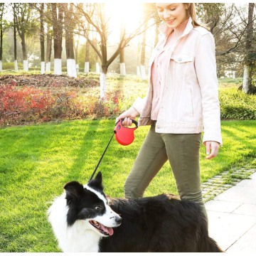 Duti Berat Retractable Leash